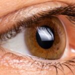 Las enfermedades hereditarias y la detección temprana