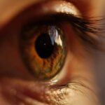 Cómo afectan las alergias de otoño a la vista y cómo prevenirlo